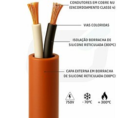 Imagem principal