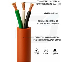 Imagem principal